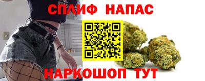 МДПВ Обь