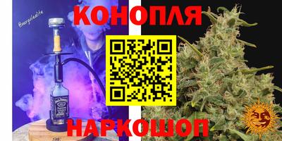 МДПВ Обь