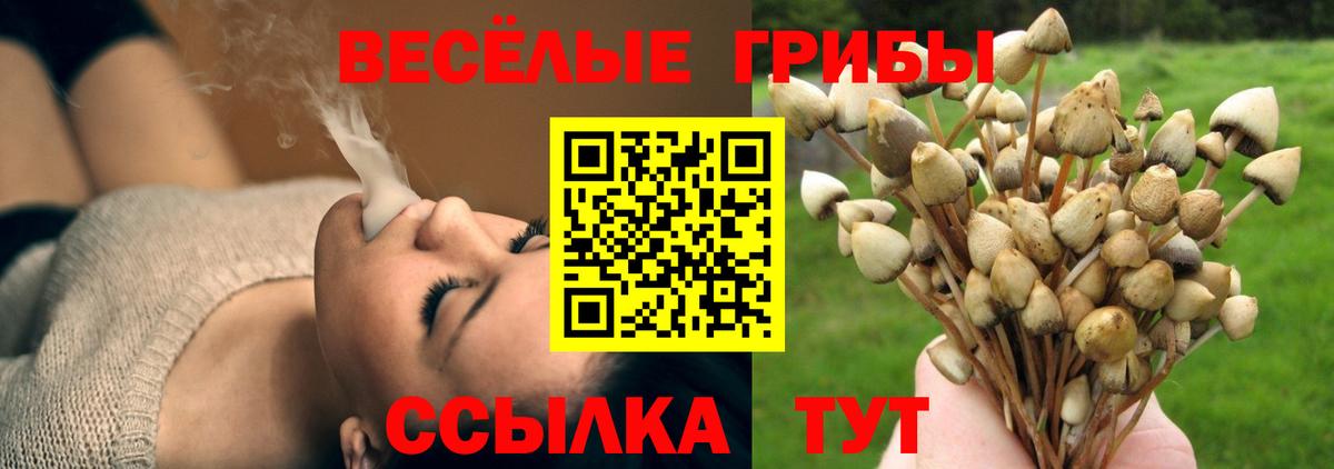 Галлюциногенные грибы Cubensis Сургут