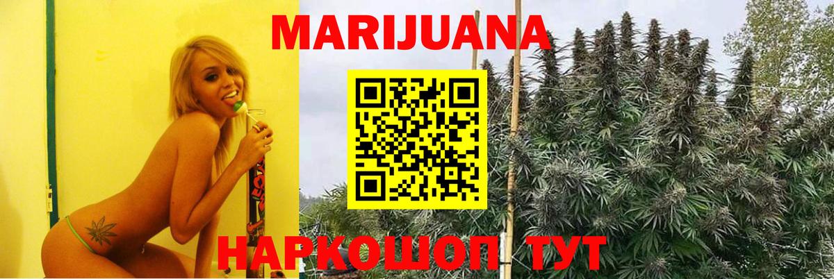 Конопля OG Kush Сургут